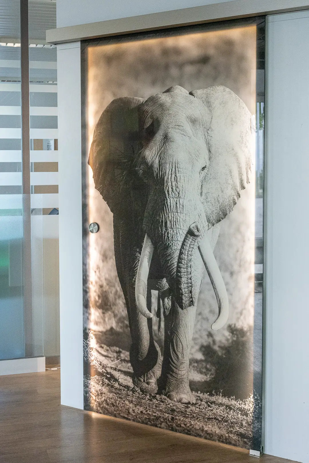 A sliding glass door features a large, realistic black and white image of an elephant running forward, used as decorative art in a modern office space.
