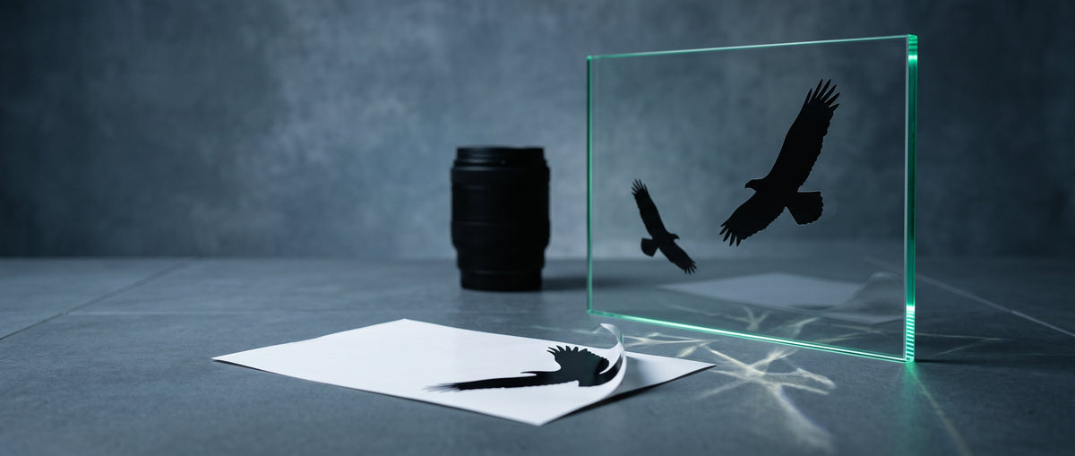 Glasscheibe mit schwarzen Raubvogel-Aufklebern als Vogelschutz